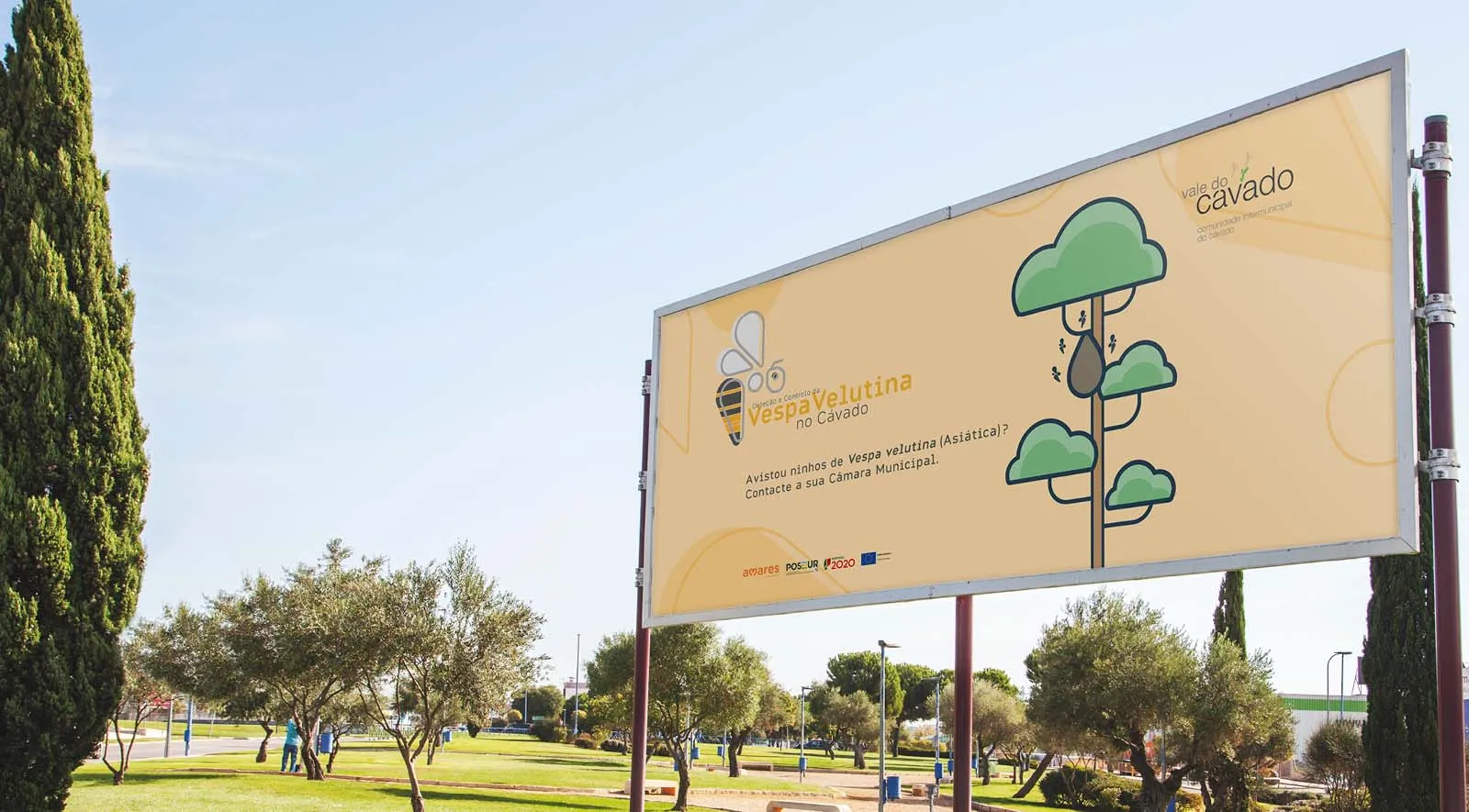 CIM Cávado: Vespa Velutina