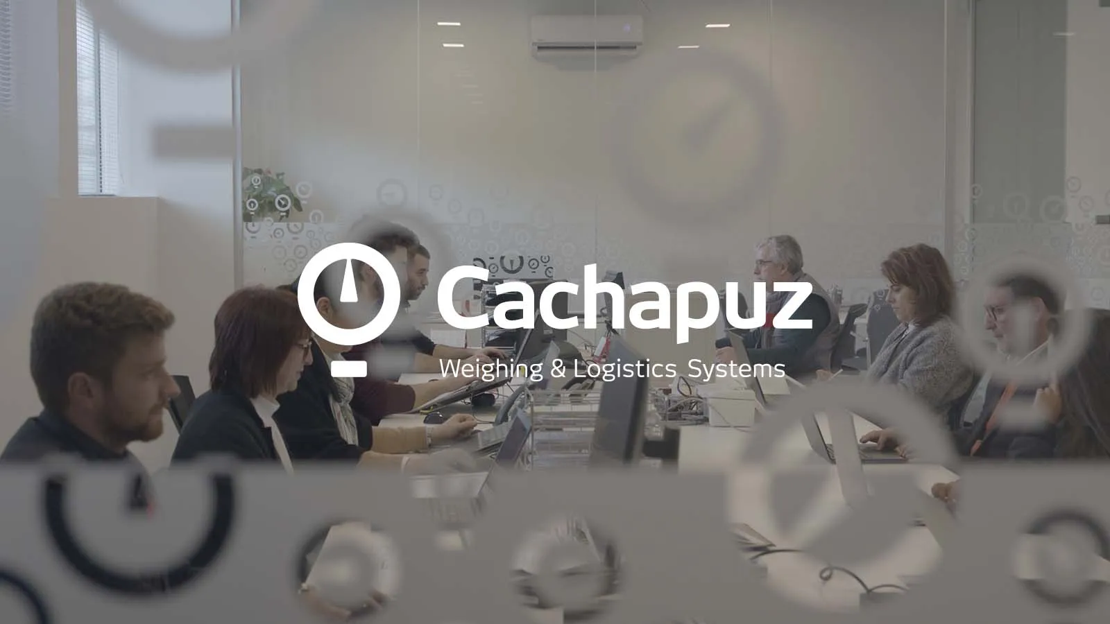 Cachapuz - Weighing & Logistic Systems